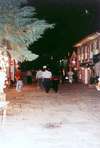 Orkide Hotel 